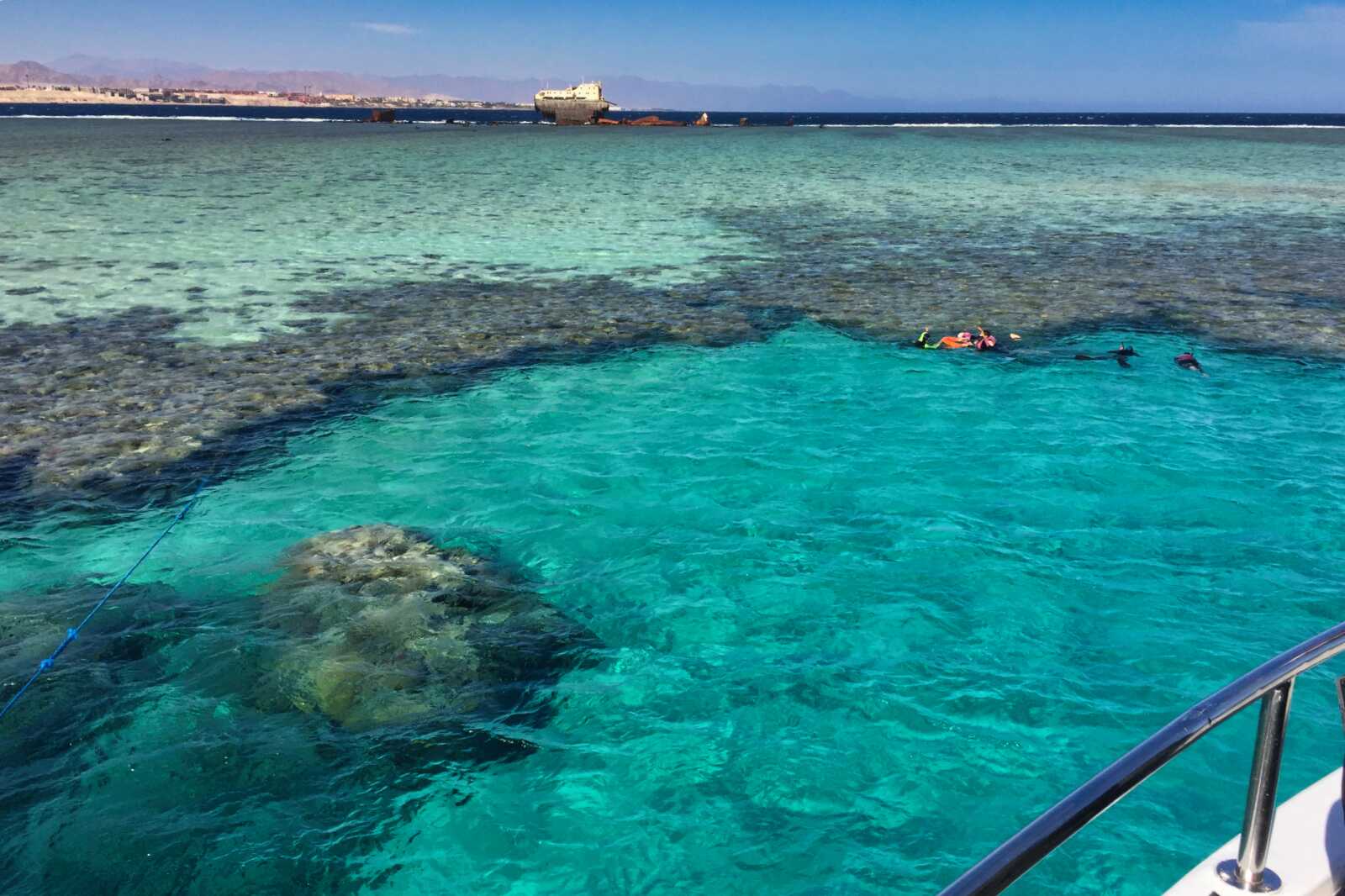 People diving in the Gordon Reef near a shipwreck.